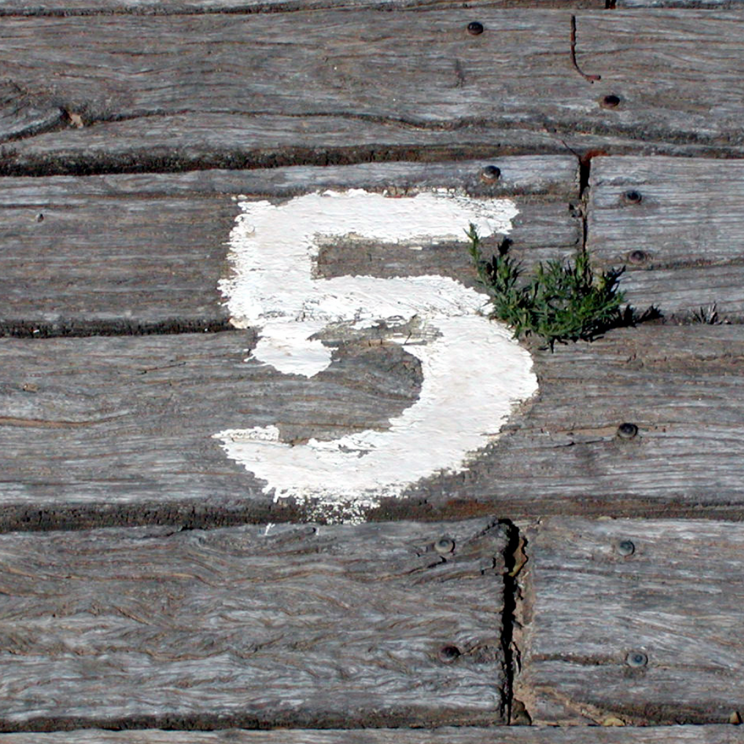 Top 5 Tools we’re using this July in the Garden…