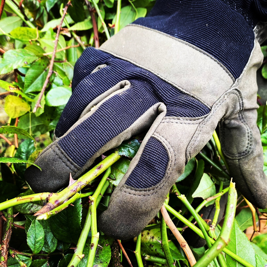 Our gloves, why they're great and which ones you should buy...