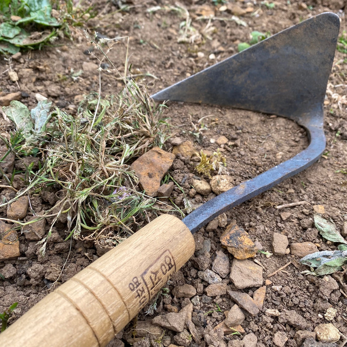 Homi gardening shop
