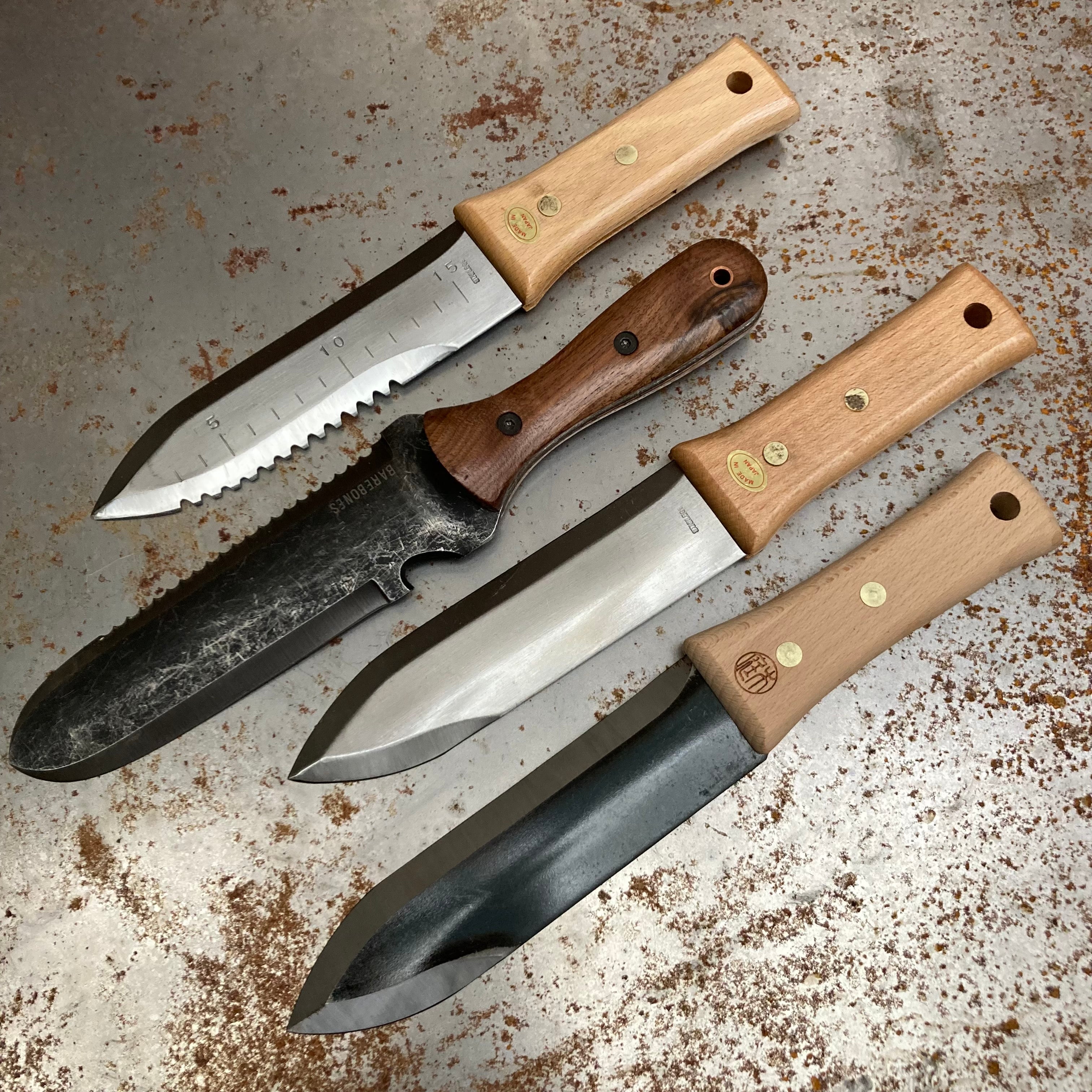 image.title image.title