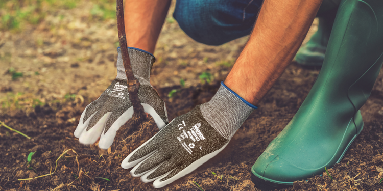 Watson Gloves