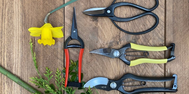 Cutting: Secateurs + Snips + Scissors