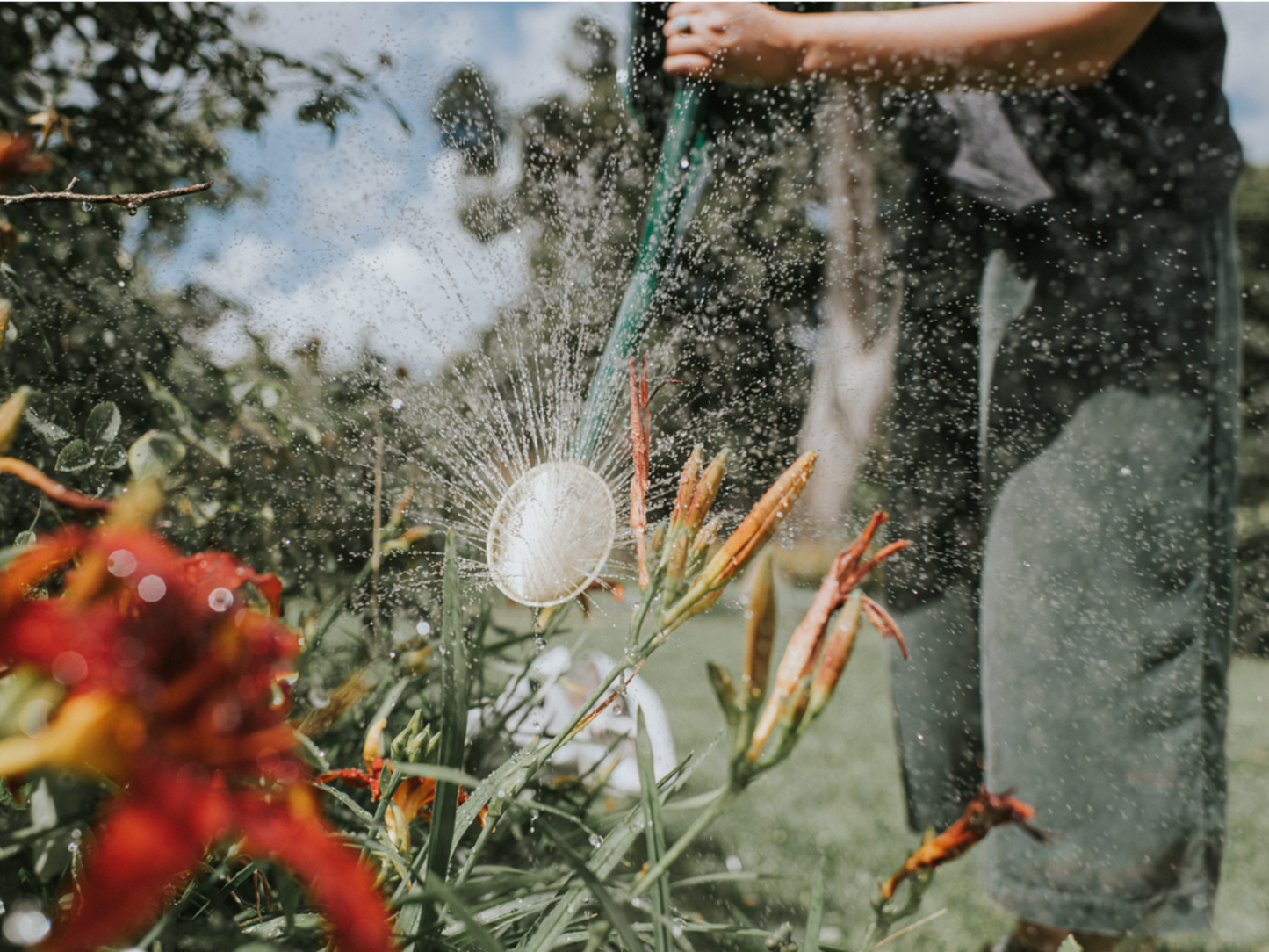 Haws The Warley Fall Green watering can