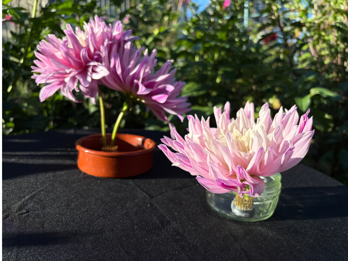 Niwaki Kenzan Flower Frogs