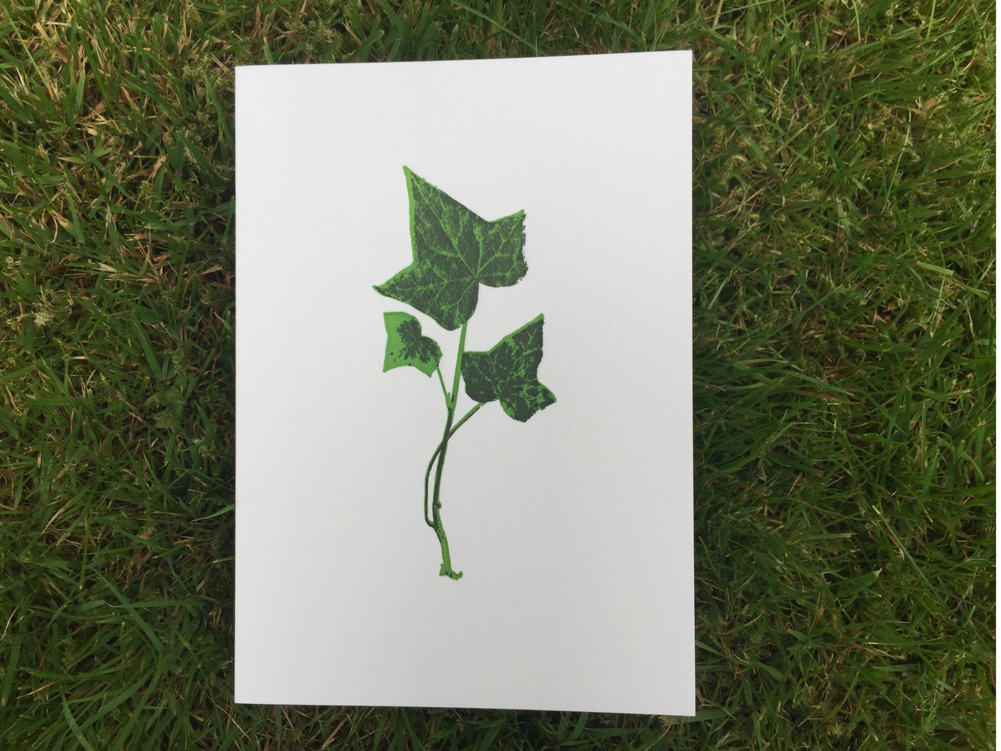 The Passenger Press Greetings Cards