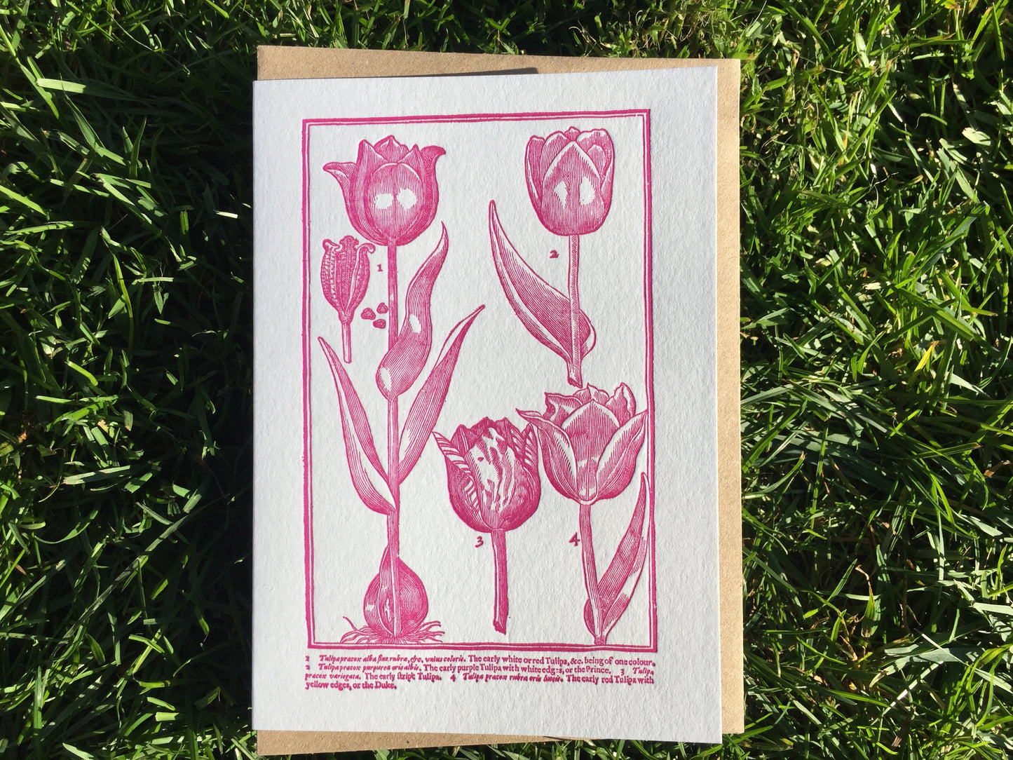 The Passenger Press Greetings Cards