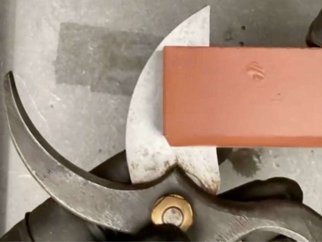 How to guide to maintain and sharpen secateurs