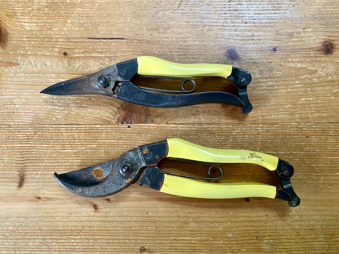 Summer clean up for you secateurs and snips...