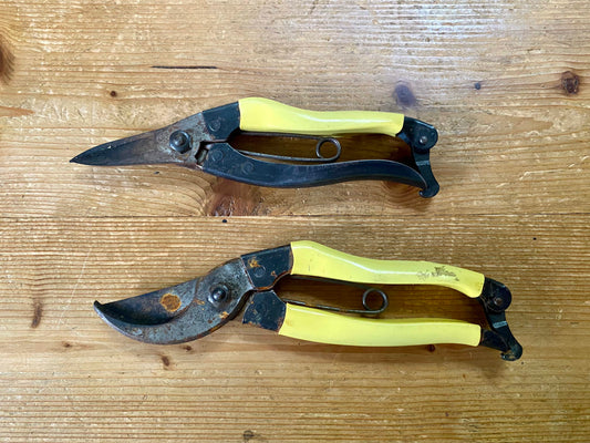 Summer clean up for you secateurs and snips...