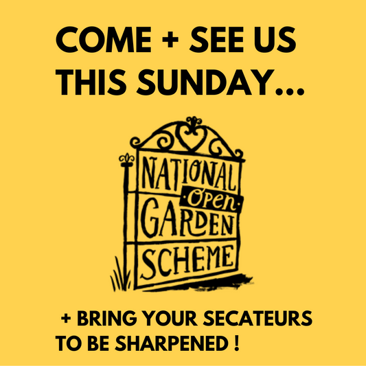 Charity secateur sharpening this Sunday!