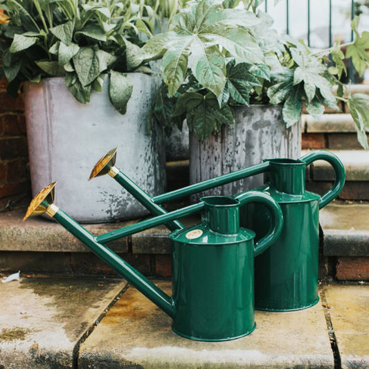 Summer watering, made easier with classic Haws watering cans