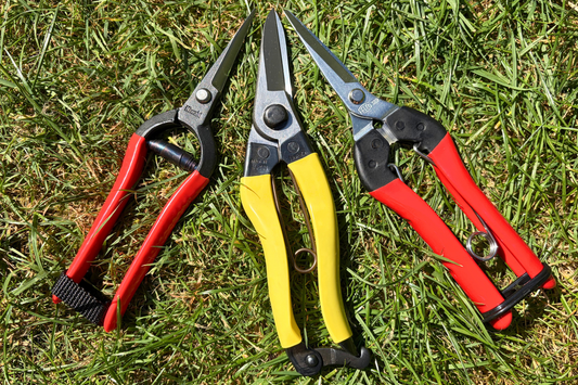 Which are the best Garden Snips to buy?