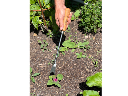 Sneeboer Dandelion Weed Cutter