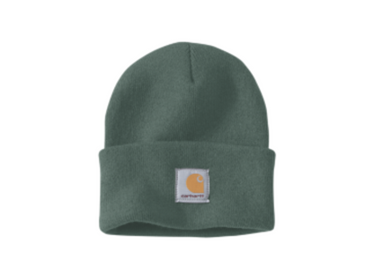 Carhartt dark green beanie on sale