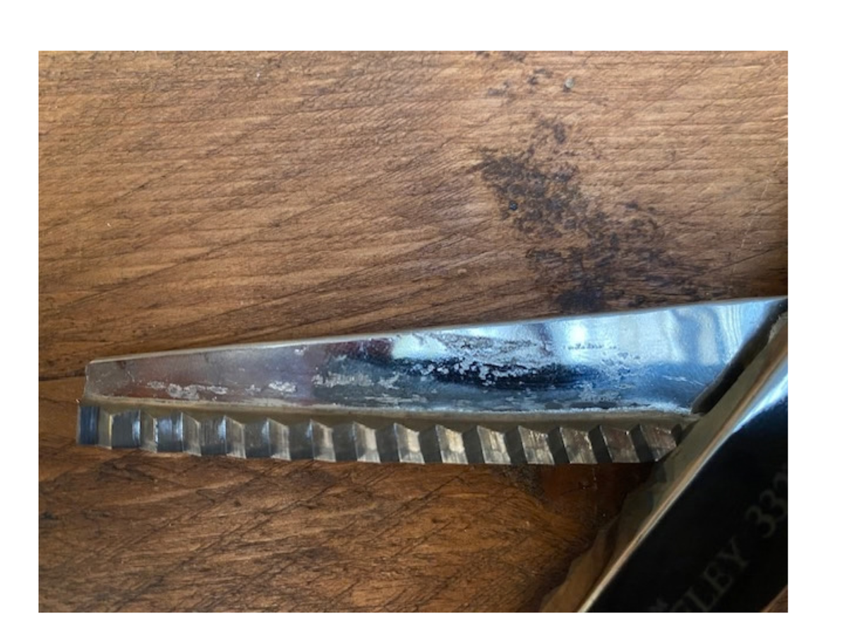 William Whitely Pinking Shears (damaged)