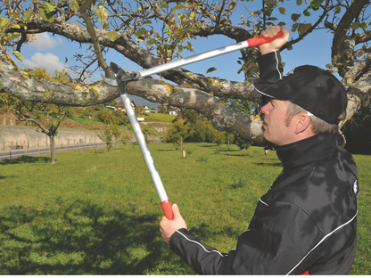 Felco 231 Lever-Action Loppers