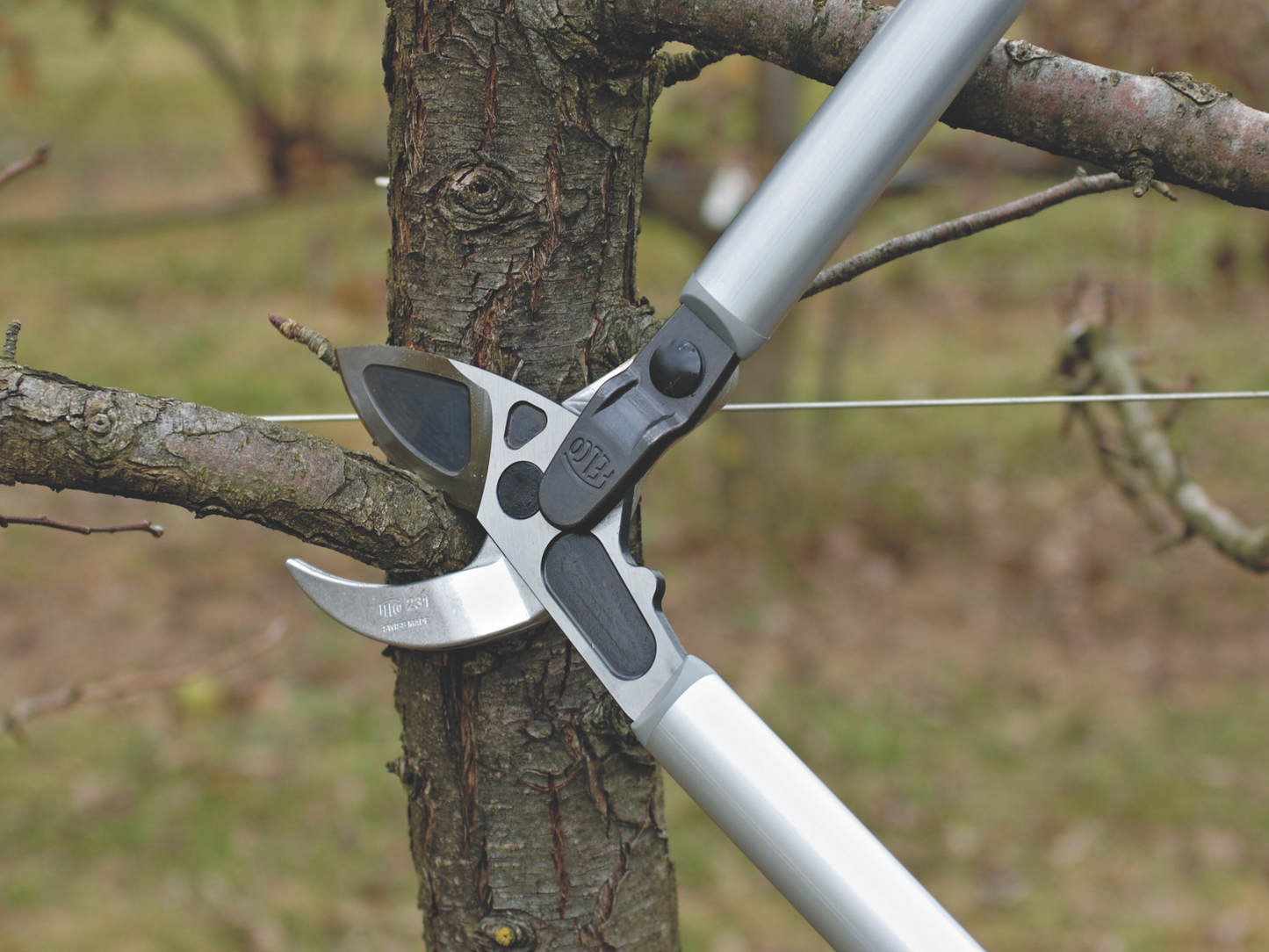 Felco 231 Lever-Action Loppers