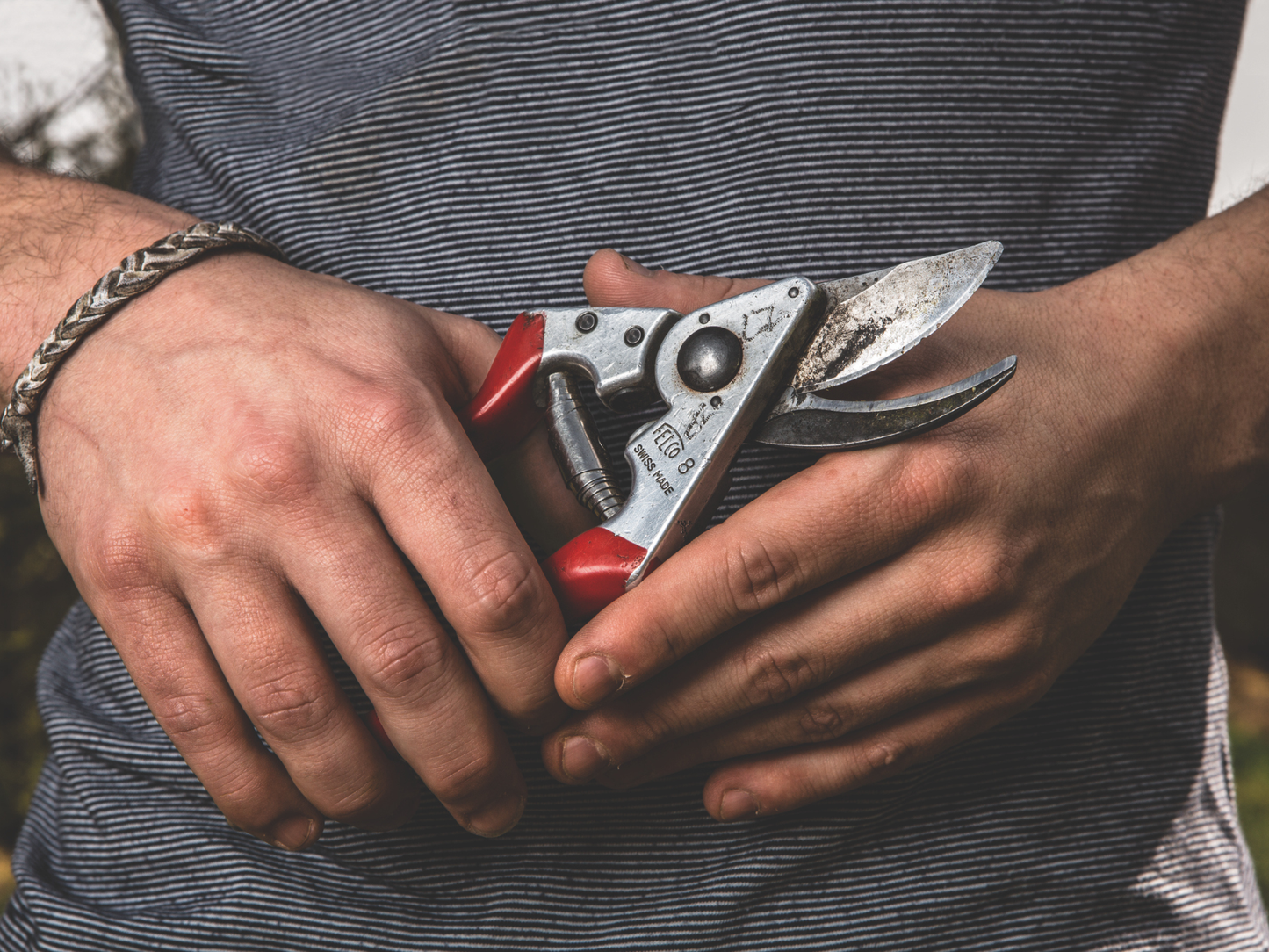 Felco 8 Secateurs