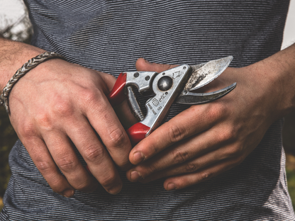 Felco 8 Secateurs