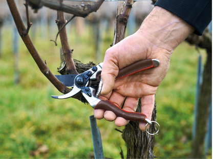 Felco 8 Elite Secateurs