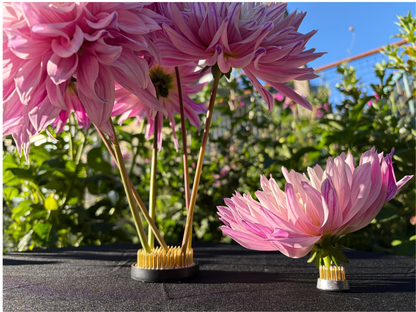 Niwaki Kenzan Flower Frogs