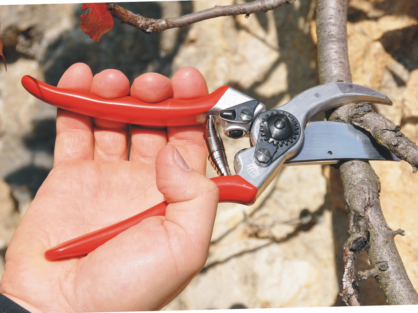 Felco 2 Secateurs