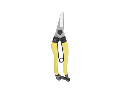 Niwaki Mainichi Snips