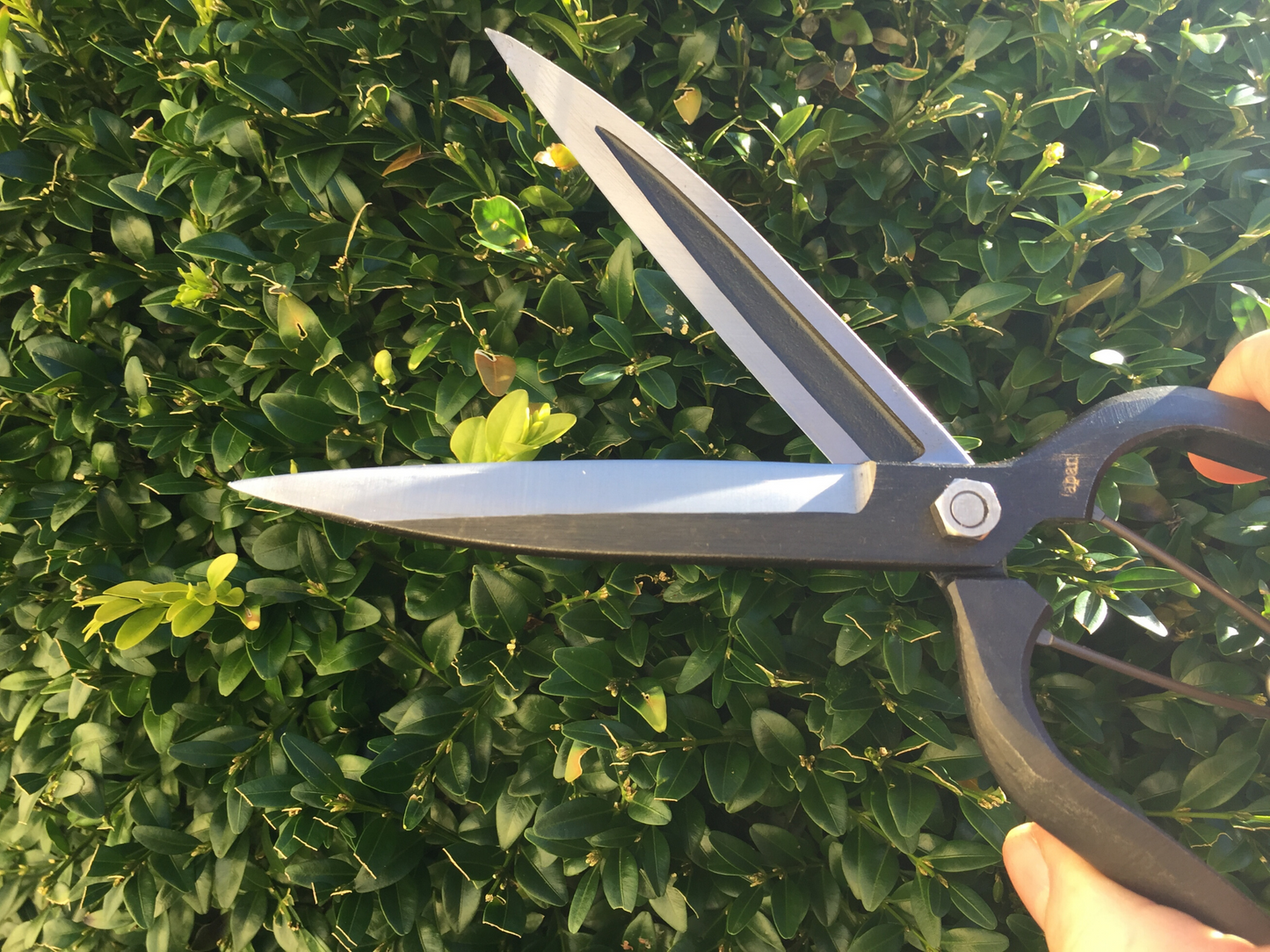 Niwaki Sentei Topiary Clippers