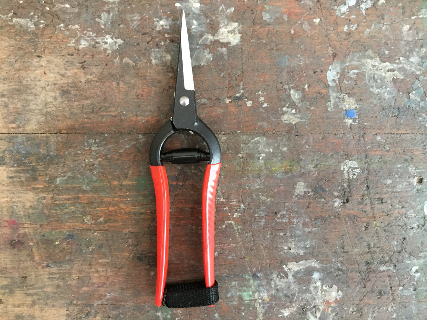 Niwaki Forged Garden Snips
